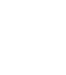 King Logo